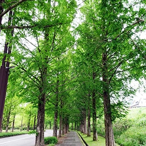szũ^ZRCA