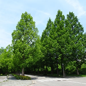 szũ^ZRCA