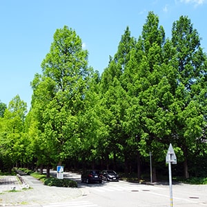 szũ^ZRCA