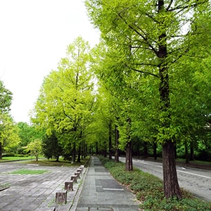 szũ^ZRCA