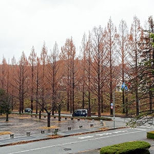 ����s���z�u�̃��^�Z�R�C�A