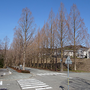 ����s���z�u�̃��^�Z�R�C�A