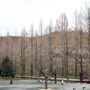 ����s���z�u�̃��^�Z�R�C�A